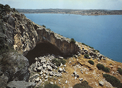 francha.gif (42005 bytes)