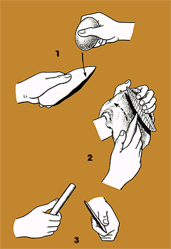 techn3.gif (18877 bytes)