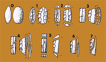 techn4.gif (25727 bytes)