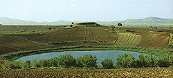 toumbaa.gif (27102 bytes)